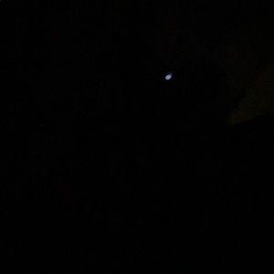 Meet your Posher, Diego